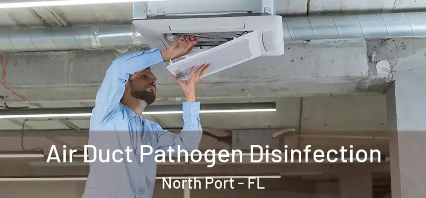 Air Duct Pathogen Disinfection North Port - FL
