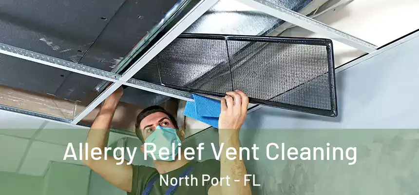 Allergy Relief Vent Cleaning North Port - FL