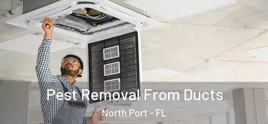 Pest Removal From Ducts North Port - FL