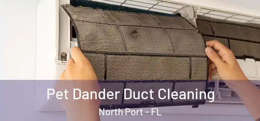 Pet Dander Duct Cleaning North Port - FL
