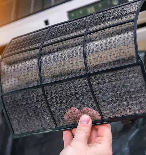 About Pet Dander Duct Cleaning in North Port, FL